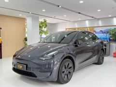 Tesla Model Y Rear-Wheel Drive - ფოტო 1