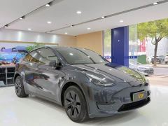 Tesla Model Y Rear-Wheel Drive - ფოტო 3