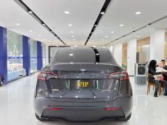 Tesla Model Y Rear-Wheel Drive - ფოტო 8