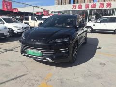 BYD Song Plus New Energy Champion Edition DM-i 110KM Flagship Plus - фото 1