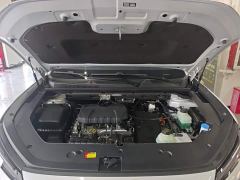 Wuling Xingguang S 130km Pilot Edition - ფოტო 19