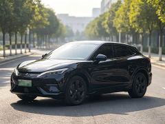 BYD Song L EV 550km Excellence Edition - photo 1