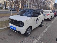 Geely Panda Mini 200km Endurance Edition - ფოტო 1