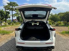 Changan Oushan Z6 Blue Whale 1.5T DCT Smart Comfort Edition - photo 18