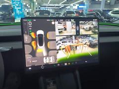 Tesla Model 3 Long Range All-Wheel Drive - ფოტო 12