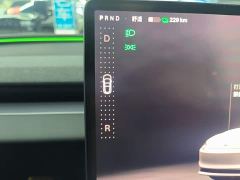 Tesla Model 3 Long Range All-Wheel Drive - ფოტო 13