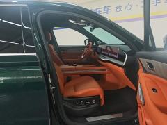 Great Wall WEY Blue Mountain Four-Wheel Drive Extended Range Version - фото 8