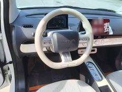 Changan Lumin Treasure Edition 205km Cool Love White CATL - фото 10