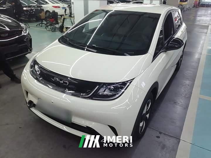 BYD Dolphin 420km Freedom Edition - ავტომობილი ჩინეთიდან