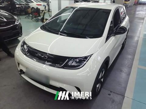 2026 BYD Dolphin 420km Freedom Edition - автомобиль из Китая