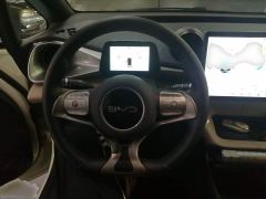 BYD Dolphin 420km Freedom Edition - ფოტო 10