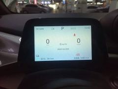 BYD Dolphin 420km Freedom Edition - ფოტო 11