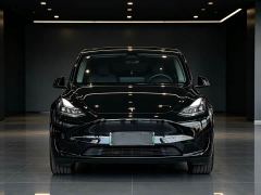 Tesla Model Y Rear-Wheel Drive - ფოტო 2