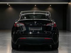Tesla Model Y Rear-Wheel Drive - ფოტო 8