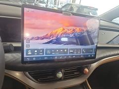 Denza D9 DM-i 1050 Premium - ფოტო 12