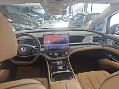 Denza D9 DM-i 1050 Premium - ფოტო 9