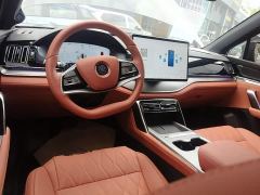 BYD Tang New Energy Smart Driving DM-i 175KM Premium Edition - photo 9