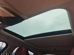BMW 3 Series 320Li M Sport Package - photo 17