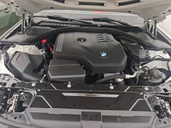BMW 3 Series 320Li M Sport Package - photo 19
