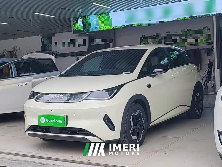 BYD Dolphin Smart Drive 420km Freedom Edition - ავტომობილი ჩინეთიდან