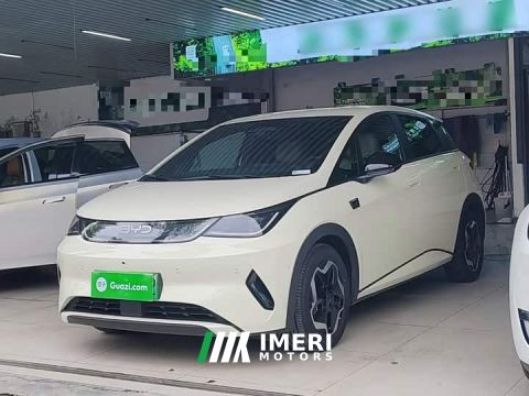 2025 BYD Dolphin Smart Drive 420km Freedom Edition - автомобиль из Китая