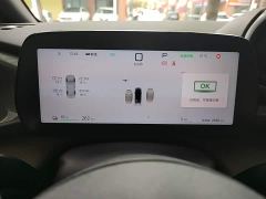 BYD Dolphin Smart Drive 420km Freedom Edition - ფოტო 11