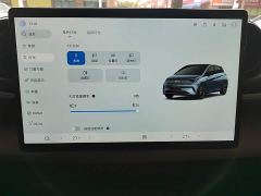 BYD Dolphin Smart Drive 420km Freedom Edition - ფოტო 12