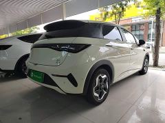 BYD Dolphin Smart Drive 420km Freedom Edition - ფოტო 6