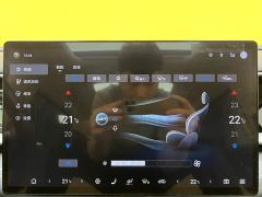 Denza D9 DM-i 1050 Premium - ფოტო 17