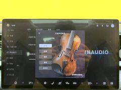 Denza D9 DM-i 1050 Premium - ფოტო 19