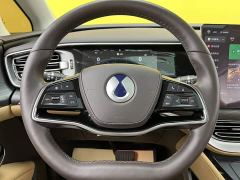 Denza D9 DM-i 1050 Premium - ფოტო 9