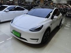Tesla Model Y Rear-Wheel Drive - photo 1