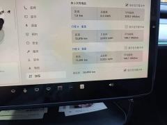 Tesla Model Y Rear-Wheel Drive - photo 11
