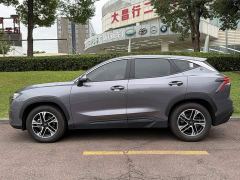 Jetour Jietu Dasheng 1.5T DCT Luxury - photo 3