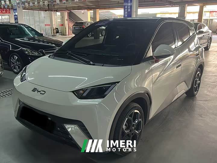 BYD Seagull 305km Freedom Edition - ავტომობილი ჩინეთიდან