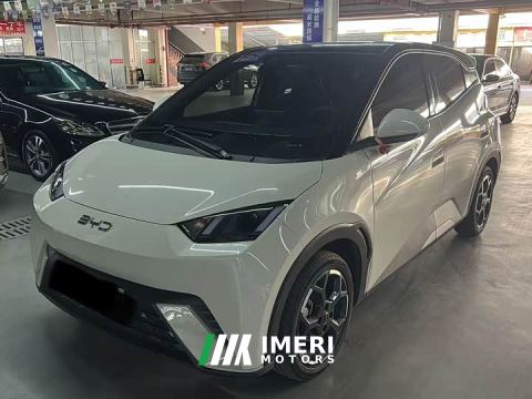 2025 BYD Seagull 305km Freedom Edition - car from China