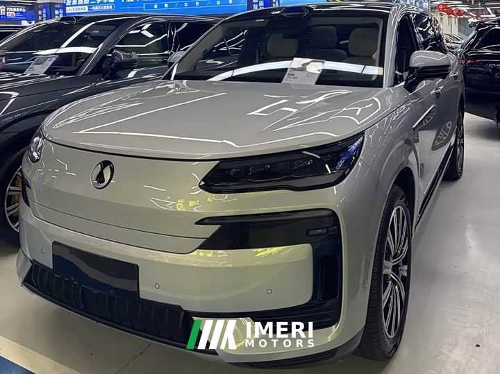 Denza N9 Premium Edition - car from China