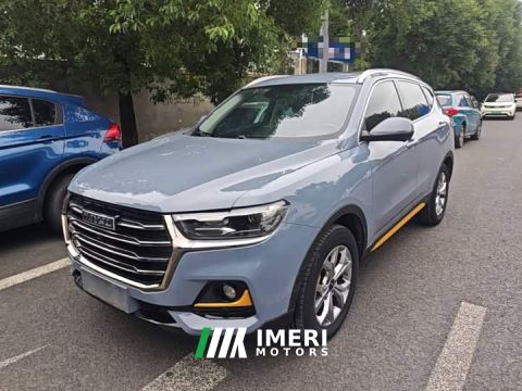 2021 Haval H6 National Trend 2.0GDIT Automatic Champion Edition - автомобиль из Китая