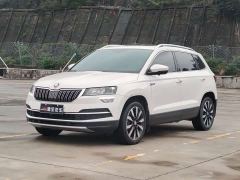 Skoda Karoq TSI280 Flagship Edition - ფოტო 1