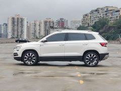 Skoda Karoq TSI280 Flagship Edition - ფოტო 3