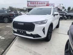 Haval H6 Third Generation 2.0T Automatic AWD Max - photo 1