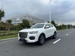 Haval H6 National Trend 1.5T Automatic Champion Edition - photo 1