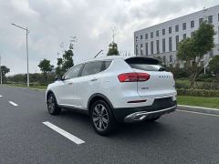 Haval H6 National Trend 1.5T Automatic Champion Edition - photo 6