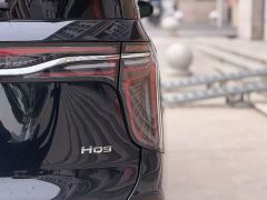 FAW Hongqi HQ9 2.0T Smart Flagship Edition - photo 12