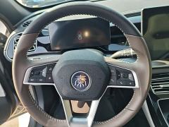 BYD Qin Plus Champion Edition DM-i 120KM Exceed - фото 10