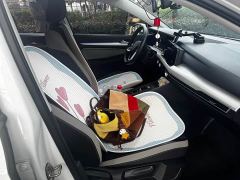 Volkswagen Polo Plus 1.5L Automatic Colorful Tech Edition - ფოტო 12