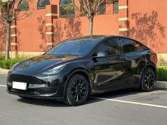 Tesla Model Y Rear-Wheel Drive - фото 1