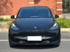 Tesla Model Y Rear-Wheel Drive - фото 2