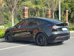 Tesla Model Y Rear-Wheel Drive - фото 5