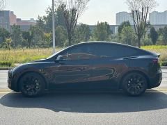 Tesla Model Y Rear-Wheel Drive - фото 7